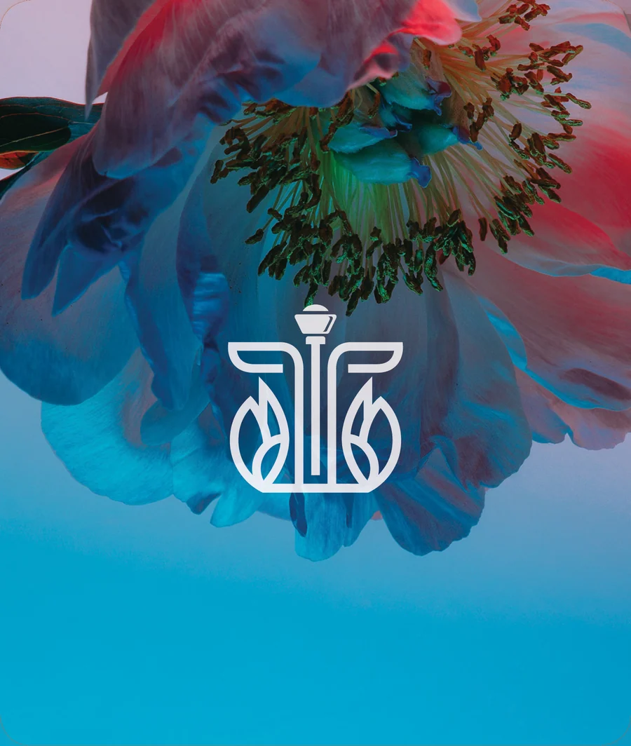 Amaayah logo presentation