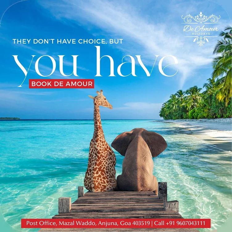 De Amour Holidays — They Don’t Have Choice, But You Have